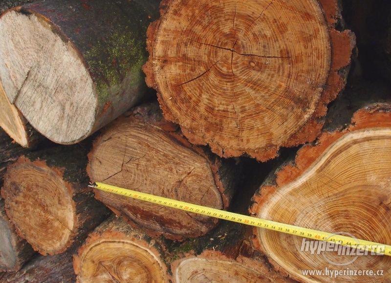 Tvrdé dřevo pro řezbáře a soustružení - foto 2