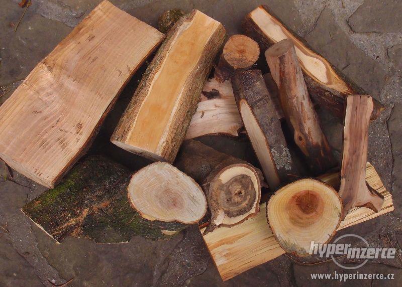 Tvrdé dřevo pro řezbáře a soustružení - foto 3