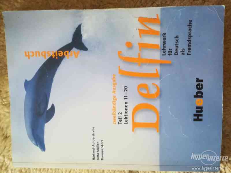 Delfin - foto 1