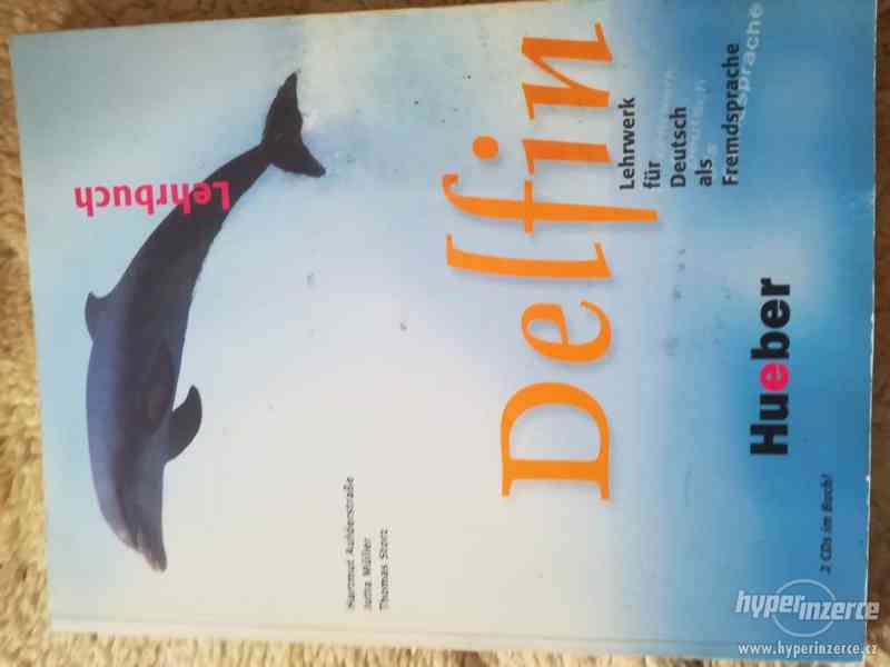 Delfin - foto 2