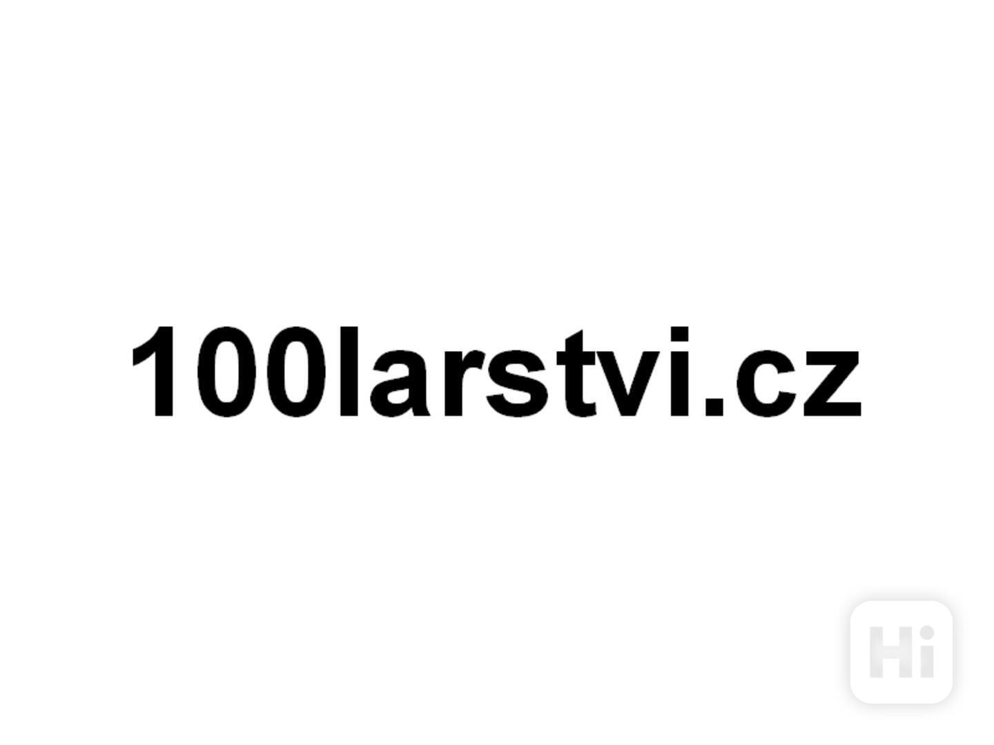 100larstvi.cz  - doména na prodej - foto 1