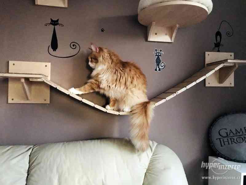 Designový kočičí nábytek na stěnu i pod strop - foto 2