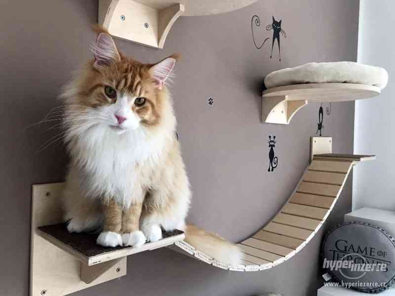 Designový kočičí nábytek na stěnu i pod strop - foto 3