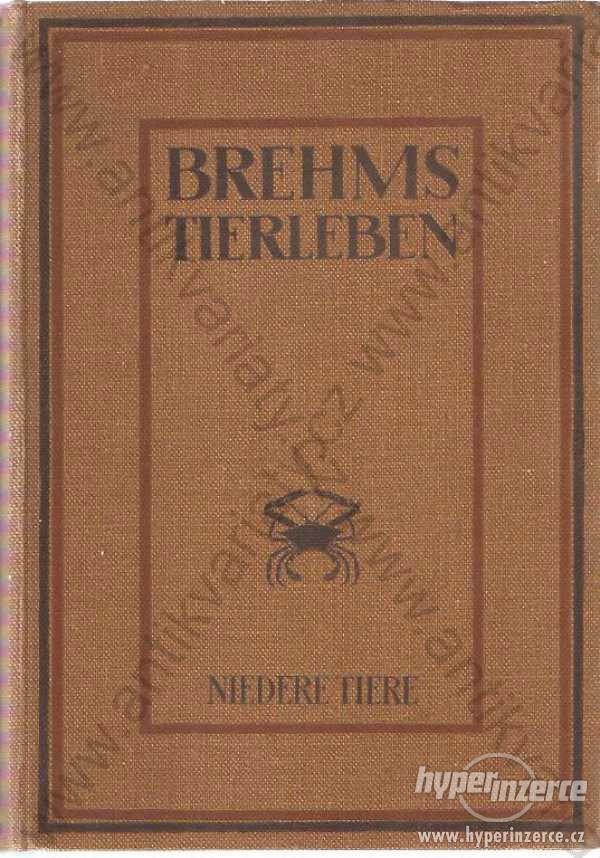 Tierleben Brehm NEKOMPLETNÍ (chybí sv. 11) - foto 1