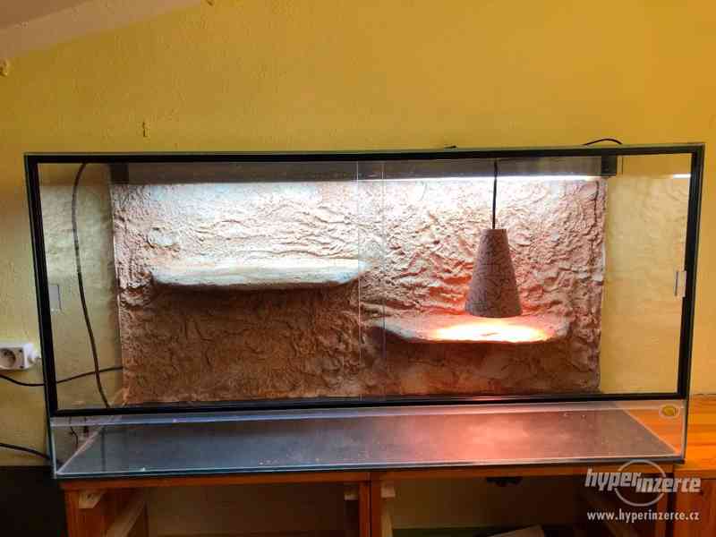 Terárium pro agamu - foto 1