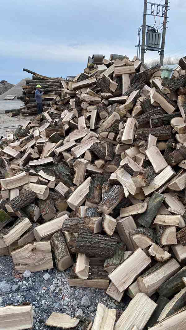 Štípané palivové dřevo tvrdé 33 cm - foto 4