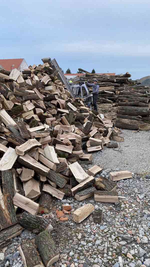 Štípané palivové dřevo tvrdé 33 cm - foto 5