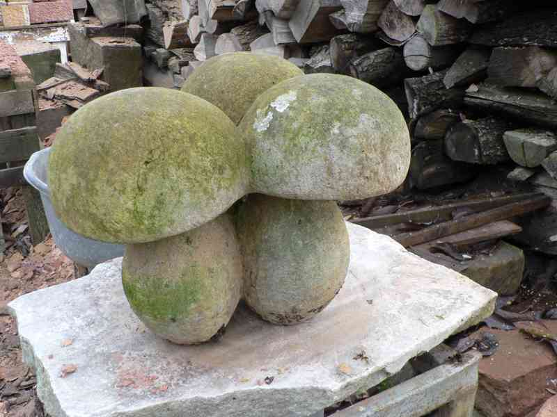 Kamenné hříbky, houby - foto 1