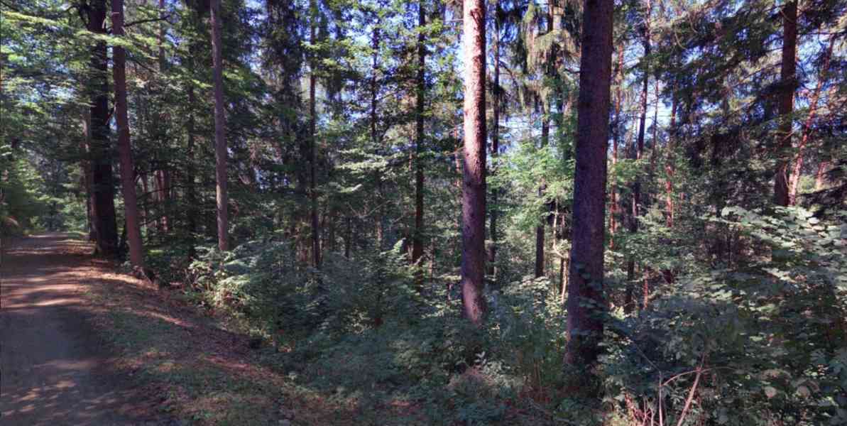 Lesní pozemek 2485 m2, k.ú Čepice (Sušice) - foto 4