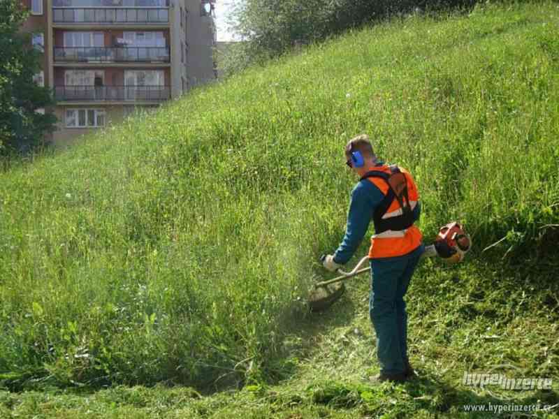 Sečení trávy a údržba areálu. - foto 1