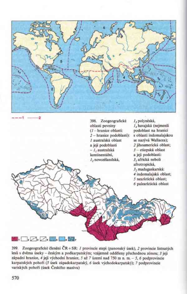 Přehled biologie v PDF, e-kniha - foto 20