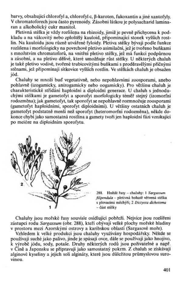 Přehled biologie v PDF, e-kniha - foto 17