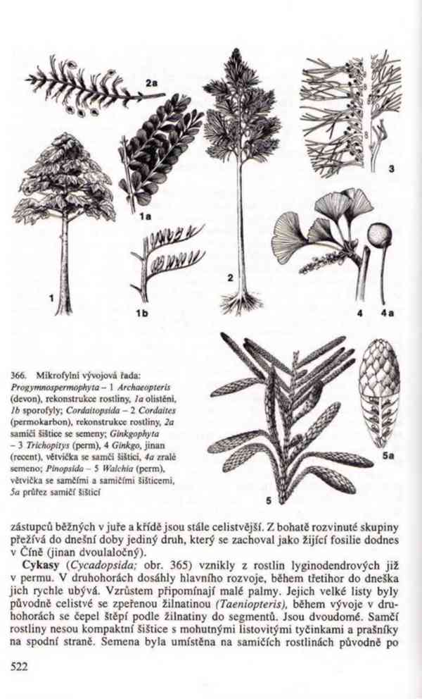 Přehled biologie v PDF, e-kniha - foto 19