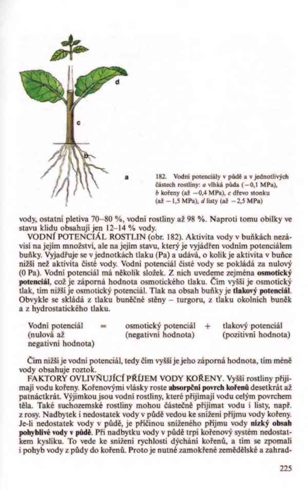 Přehled biologie v PDF, e-kniha - foto 14