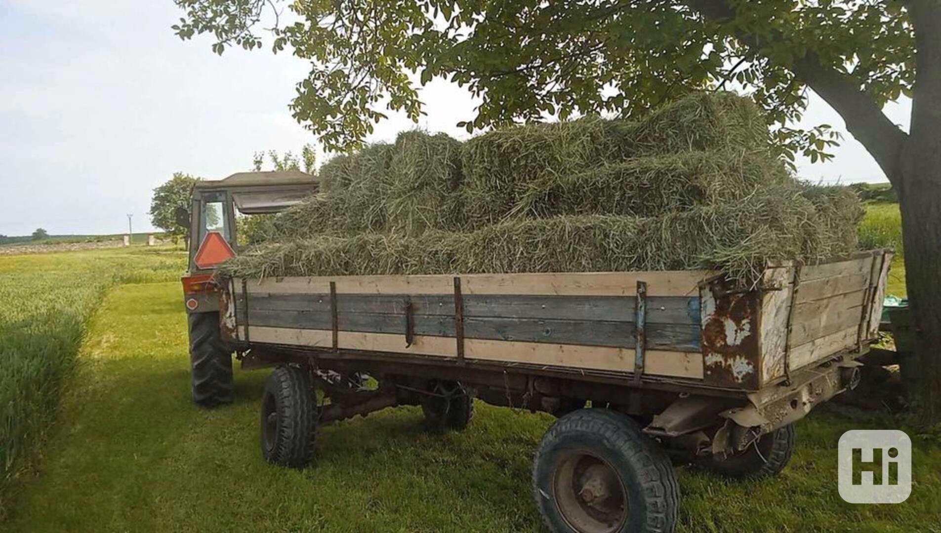 Seno, balíky sena - foto 1