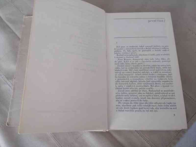 Paní Bovaryová - foto 2