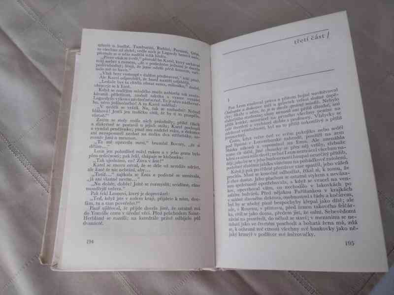 Paní Bovaryová - foto 3