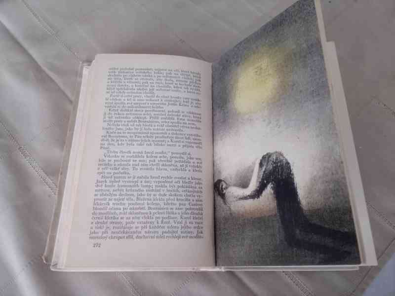 Paní Bovaryová - foto 5