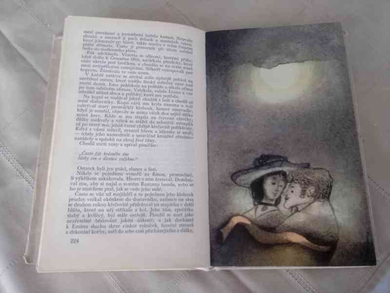 Paní Bovaryová - foto 4