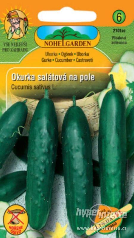 Okurka salátová - Linda (semena) www.rostliny-prozdravi.cz - foto 1