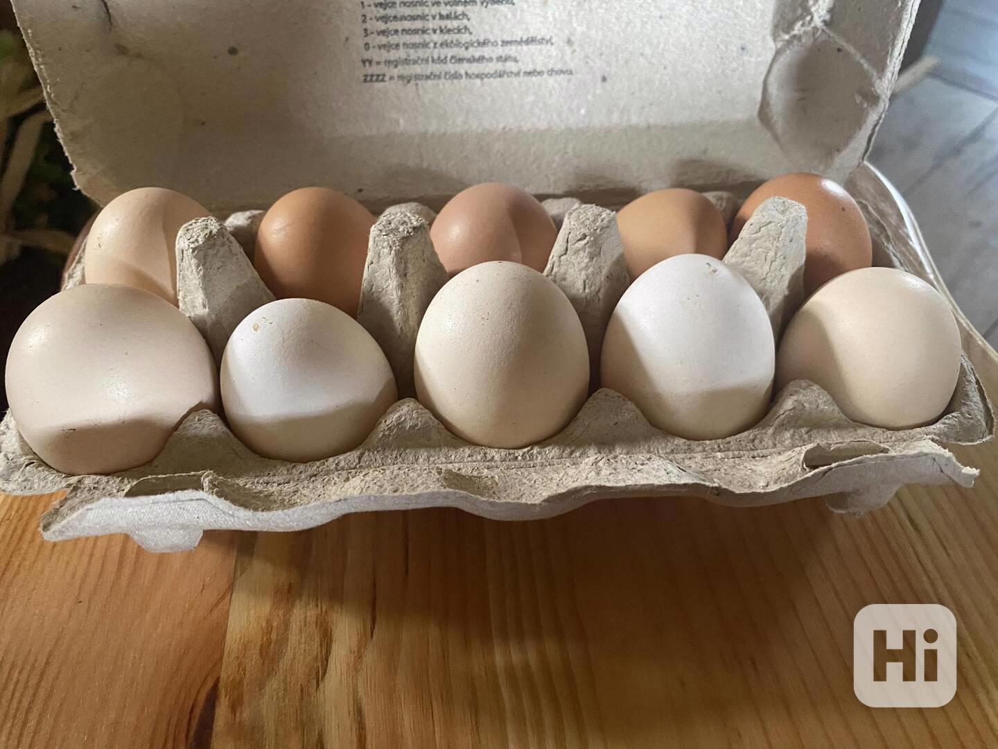Prodám domácí vajíčka  - foto 1