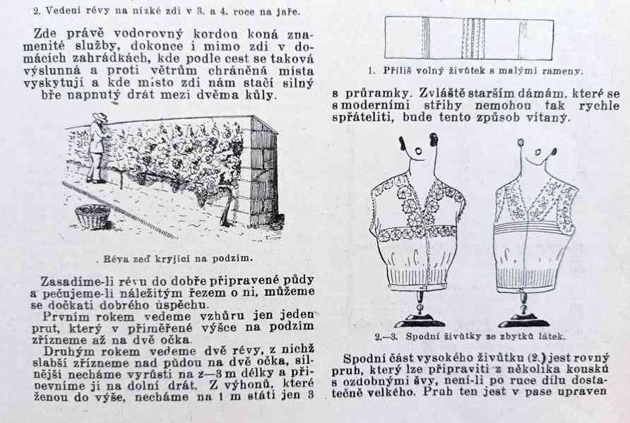 Časopisy Šťastný domov, dva kompletní ročníky 1923 a 1924   - foto 23