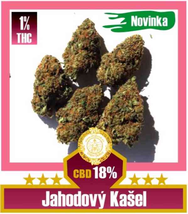 CBD květy Jahodový Kašel CBD 18% na drskunk.cz