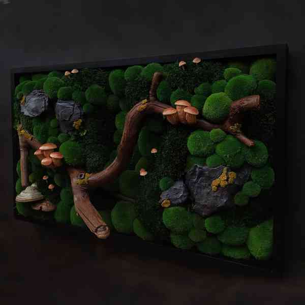 Mechový obraz / obraz ze stabilizovaného mechu - foto 3