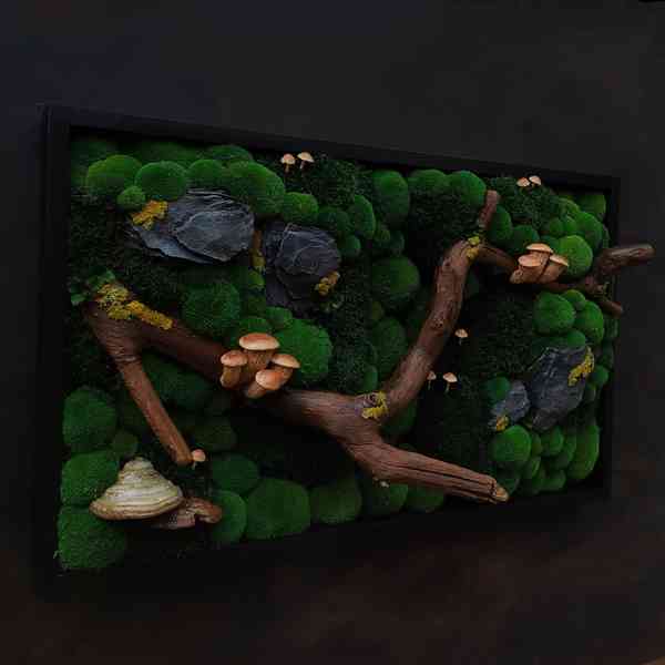 Mechový obraz / obraz ze stabilizovaného mechu - foto 2