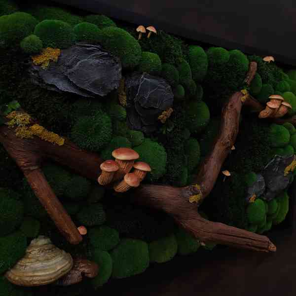 Mechový obraz / obraz ze stabilizovaného mechu - foto 4