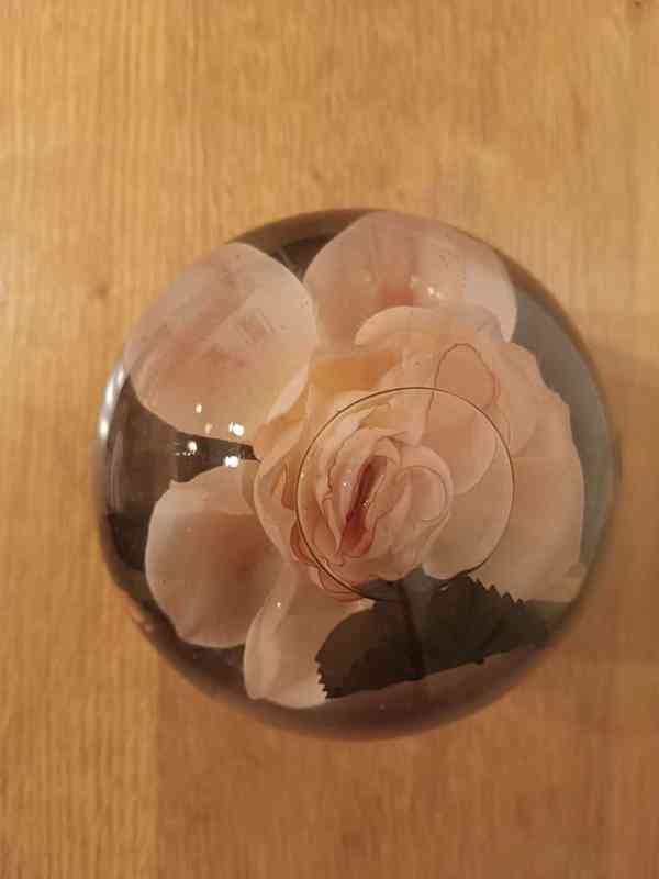 Růže v kouli - foto 2