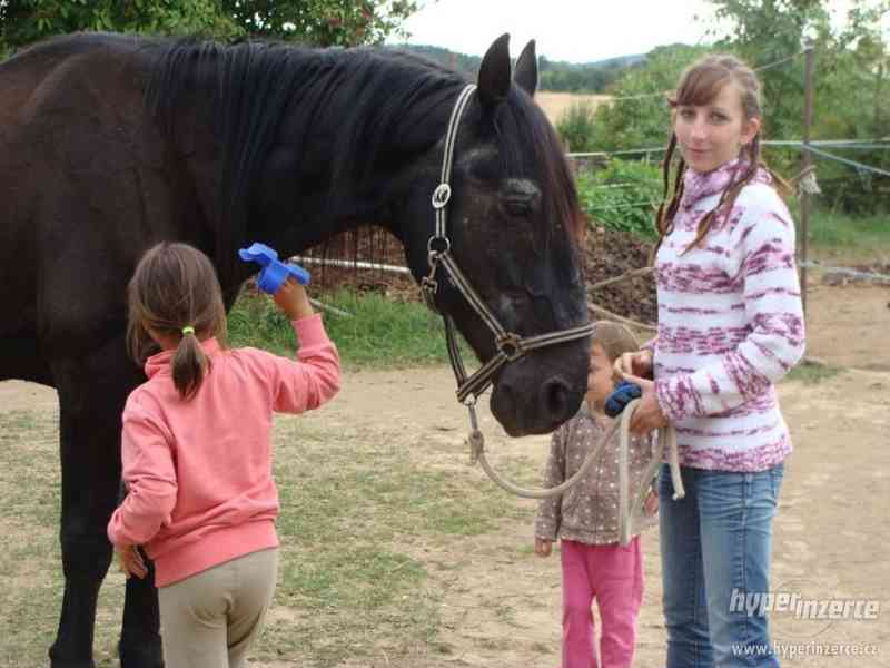 Sportovní pobyt u koní na Vysočině - foto 2