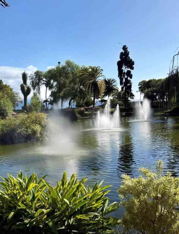 Madeira wunderschöne Ferienwohnung direkt am Meer zu verm.  - foto 9