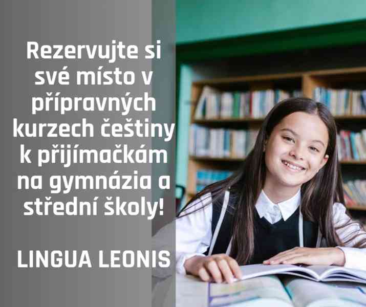 Doučování češtiny nejen na přijímačky  - foto 2