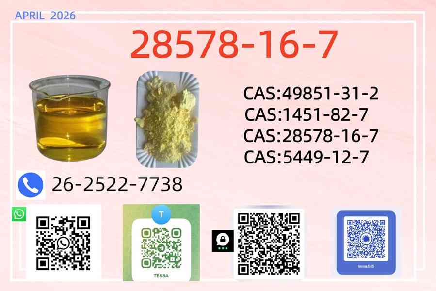 "Hot sailing 28578-16-7 PM.K New BM.K 5449-12-7 CAS 49851-31