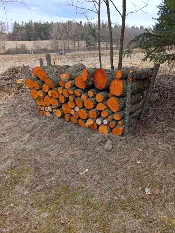 Prodám olši kulatinu na metry. 1 prm 1800 Kč. Dohoda jistá.  - foto 2