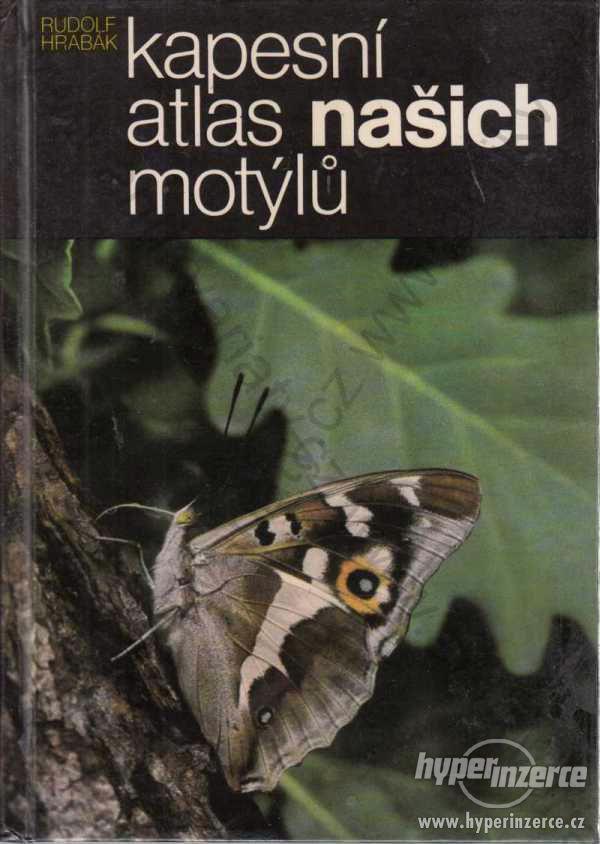 Kapesní atlas našich motýlů Rudolf Hrabák 1985 - foto 1