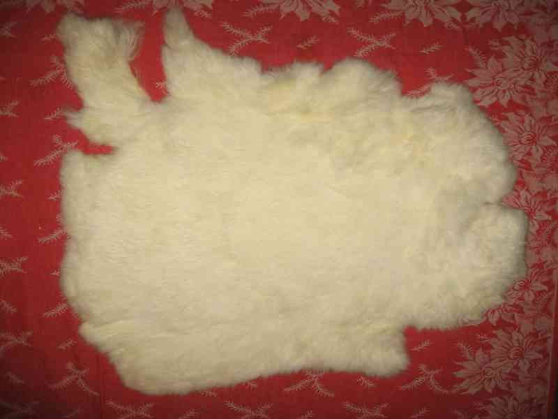 vyčiněné kůže - foto 8