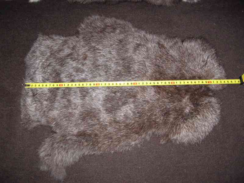 vyčiněné kůže - foto 3