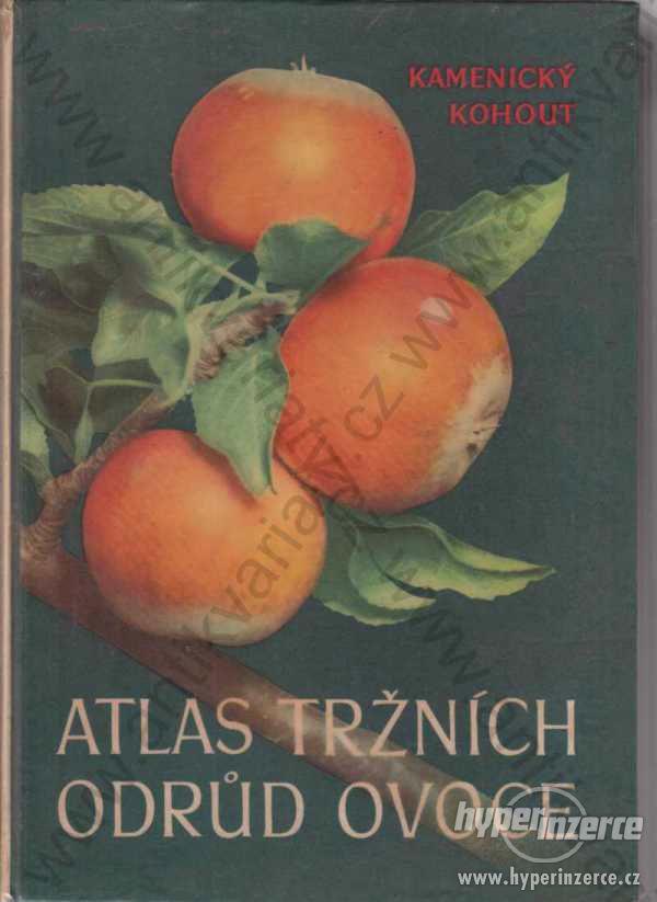 Atlas tržních odrůd ovoce K. Kamenický,K. Kohout - foto 1