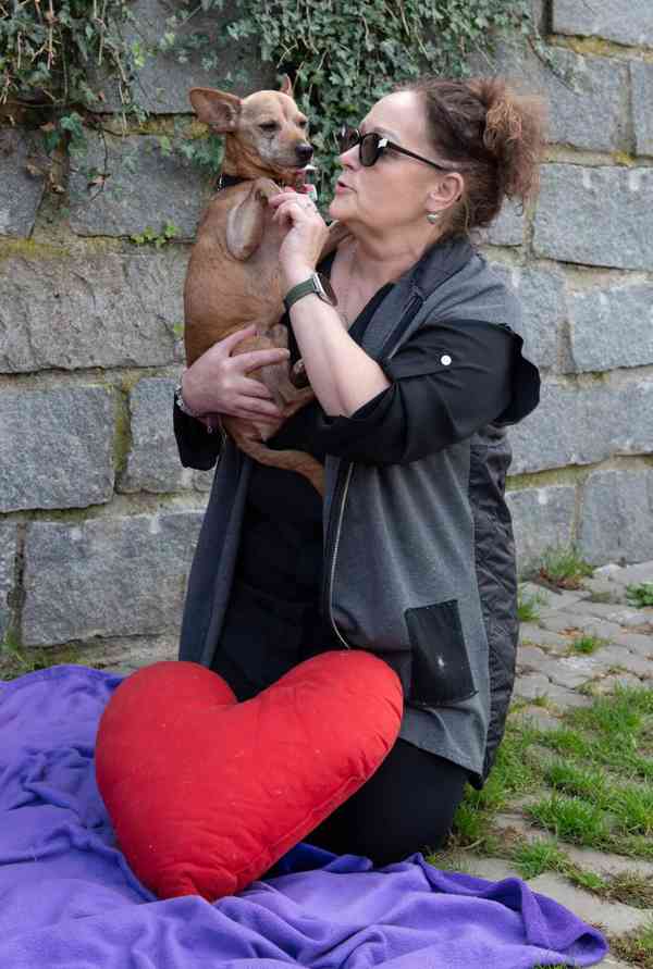 CVRČEK - 5,5 kg, kastrovaný psík 9 let  - foto 3