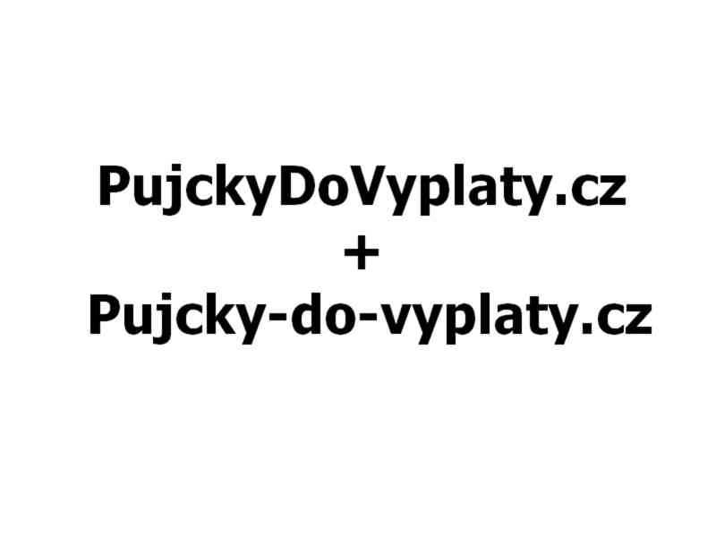 Domény na prodej:  PujckyDoVyplaty.cz + Pujcky-do-vyplaty.cz - foto 1