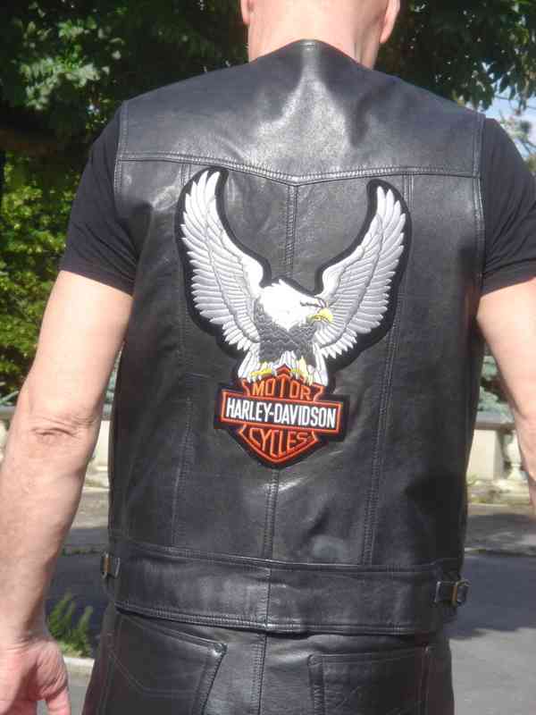 Vesta Harley Davidson - foto 1