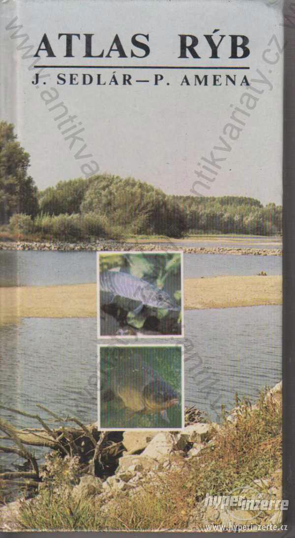 Atlas rýb Ján Sedlár 1989 Obzor, Bratislava - foto 1
