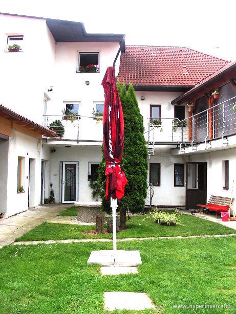 SLunečník velký profi - foto 1