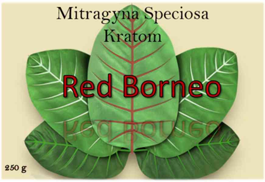 Kratom Red Borneo - foto 1