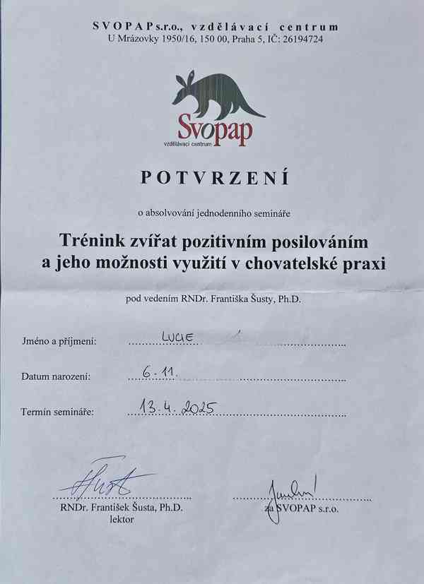 Hlídání výcvik psů lucitrenink - foto 34