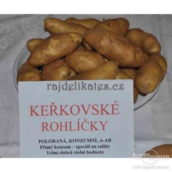 Sadbové brambory Keřkovské rohlíčky - foto 1