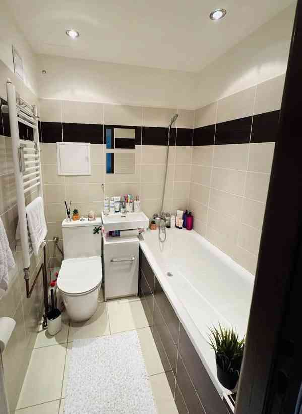 Pronájem bytu 1+1 29 m² - foto 9
