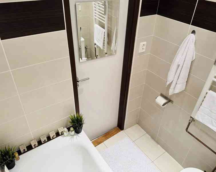 Pronájem bytu 1+1 29 m² - foto 10